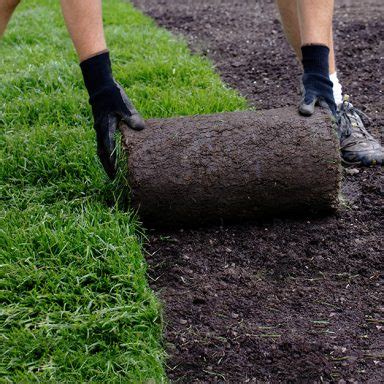 5 Steps for Laying Sod On a Slope [Get Sod to Take Root Fast] | Pepper's Home & Garden