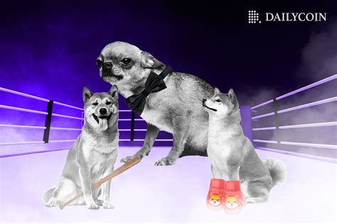 Can Bonk (BONK) Overtake Rivals Shiba Inu (SHIB) and Dogecoin (DOGE ...