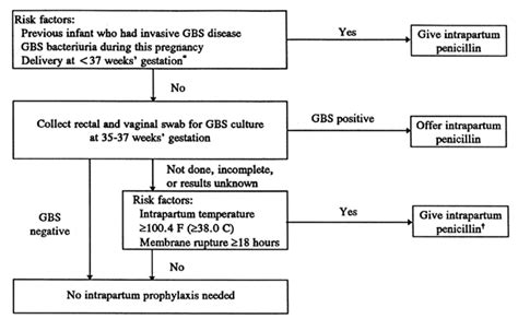 Specific Bacterial Infections: Group B Streptococcus | GLOWM