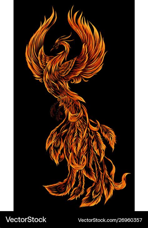 Phoenix fire bird Royalty Free Vector Image - VectorStock