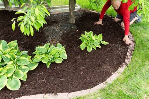 22 Garden Border and Edging Ideas