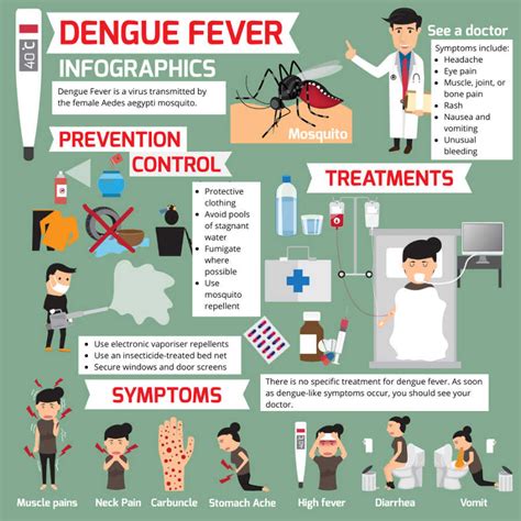 Top Tips for Avoiding Dengue Fever - globetotting.com