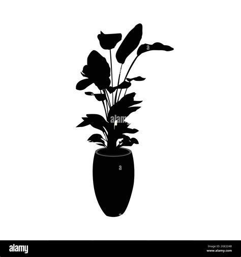 Indoor house plant vector isolated on white. Beautiful natural plants for interior decoration ...