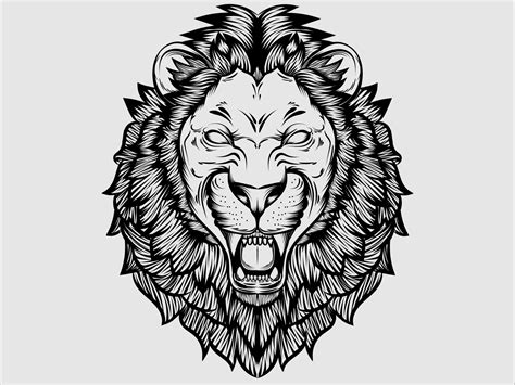 Vector Roaring Lion isolated on white background by bang ridus on Dribbble