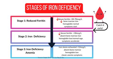 How Ferritin Fluctuates Through The Day & Why It Matters - Lab Me