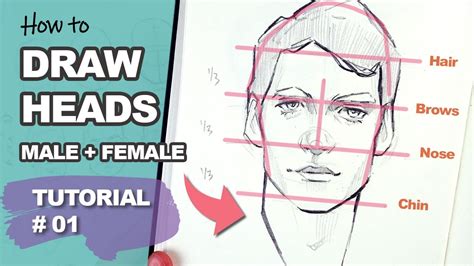 THIS REALLY WORKS! Drawing Heads with the Loomis Method (Tutorial #1 ...