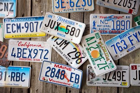 Florida unveils two new available license plates – Florida Insider