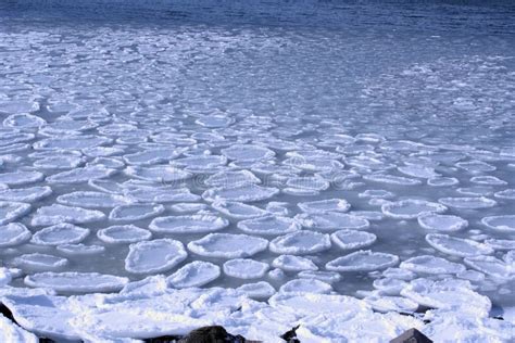 Ice circles stock image. Image of circles, frozen, cold - 15431805