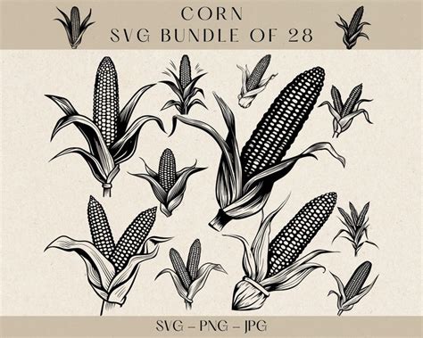 Corn SVG, Corn Clipart, Corn Vector, Corn Silhouette, Farm Vector, Farm ...