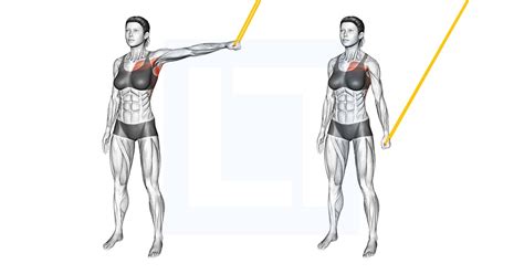 Resistance Band Shoulder Adduction - Guide, Benefits, and Form