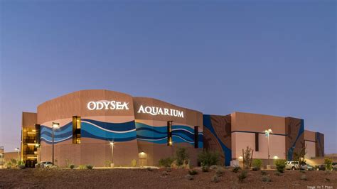 OdySea Aquarium drops $1M to add 16 new exhibits - Phoenix Business Journal