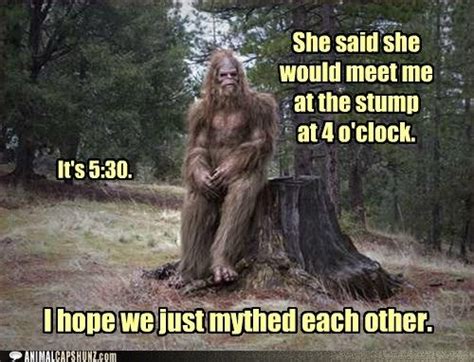 Animal Capshunz | Bigfoot humor, Bigfoot photos, Finding bigfoot