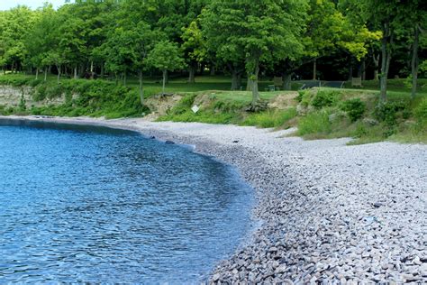 Rocky Beach Free Stock Photo - Public Domain Pictures