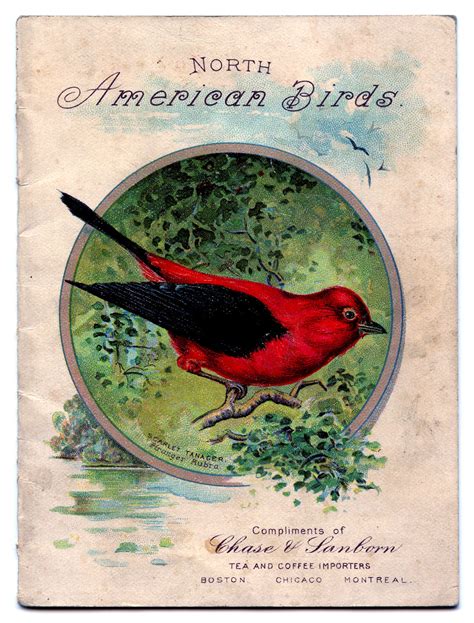 ANTIQUE ADVERTISING CARDS | ANTIQUES CENTER