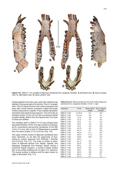 Revision of African Kubanochoerinae (Suidae: Mammalia) with descriptions of new fossils from the ...