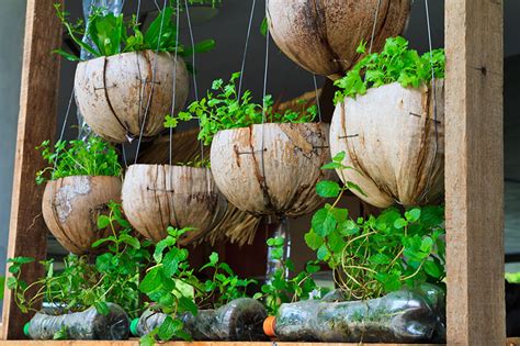 20+ Incredible Vegetable Garden Ideas – 2000 Daily