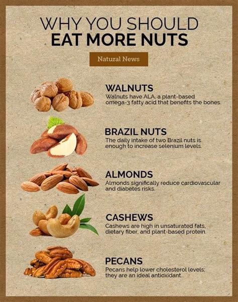 Pin by Lisamarie Sandoval on Nuts/Seeds Health benefits | Food health ...