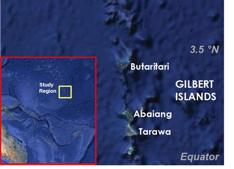 Corals suggest El Niño may become more frequent | Maribo