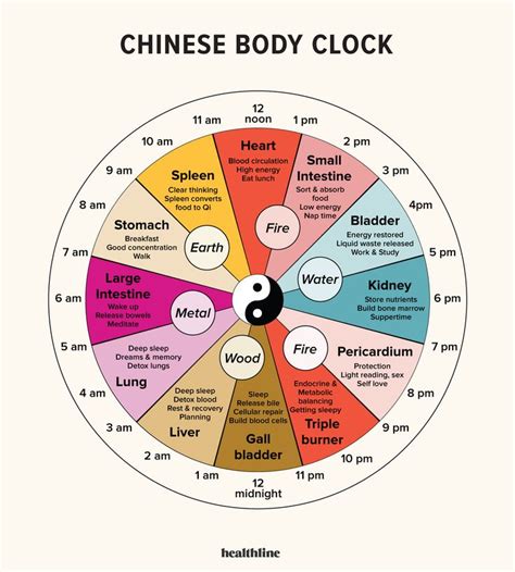 Chinese Body Clock: About, Benefits, Research in 2020 | Chinese body ...