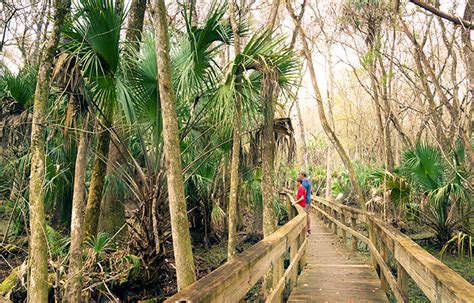 Highlands County: Where to Hike, Bike, Camp & More - Ecotourism Florida