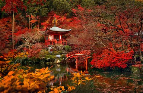 Daigo-ji, Japanese Garden, Shrine, Fall, 5K, Tree, Reflection, Temple, Temples, Bridge HD Wallpaper