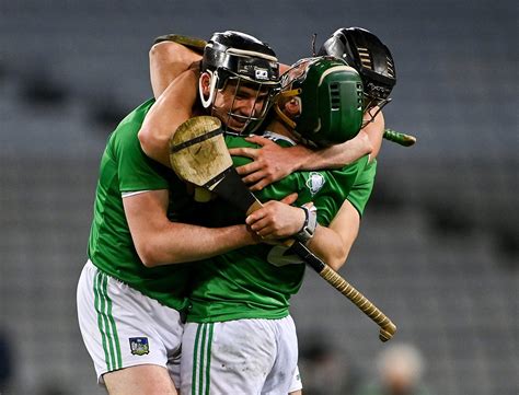 Limerick dominate The Sunday Game's 'Team of the Year' with NINE ...