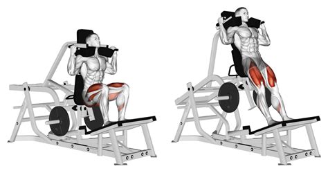 V Squat vs Hack Squat: The Differences Explained - Inspire US