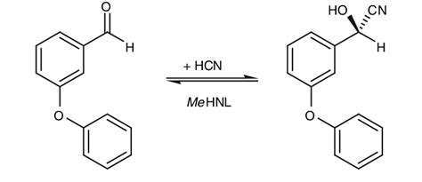 Enzymatic 3-phenoxy-benzaldehyde cyanohydrin synthesis | Download Scientific Diagram