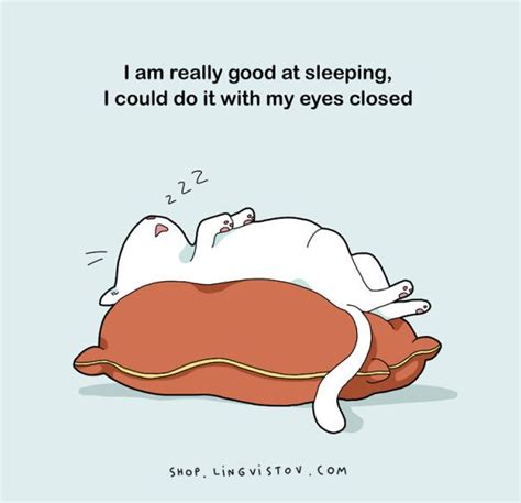 Animal Comic | Sleep funny, Sleep lover, Funny images