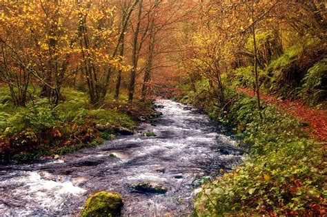 Los mejores paisajes de otoño en España