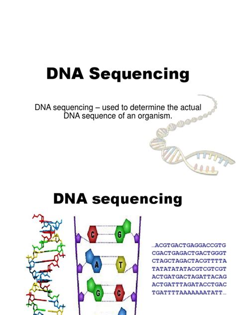 Methods of DNA Sequencing | Dna Sequencing | Primer (Molecular Biology)