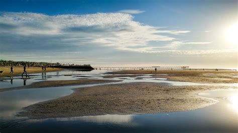 Dog Beach | Ocean Beach San Diego CA