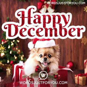 Happy December Gif - 6811 » WordsJustforYou.com - Original Creative Animated GIFs