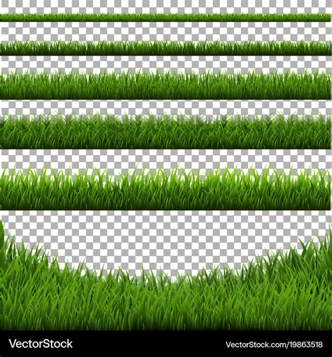 Grass border set isolated Royalty Free Vector Image