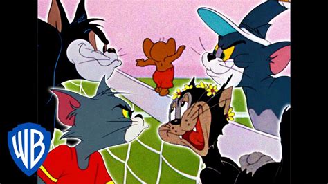 Tom & Jerry | Tom vs. Butch! | Classic Cartoon Compilation | WB Kids - YouTube