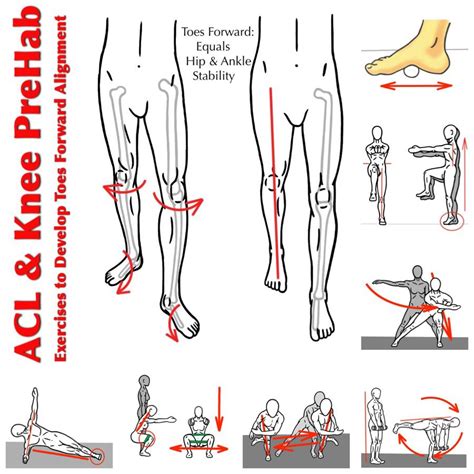 Looking for effective ACL and Knee PreHab? This exercise sequence can ...