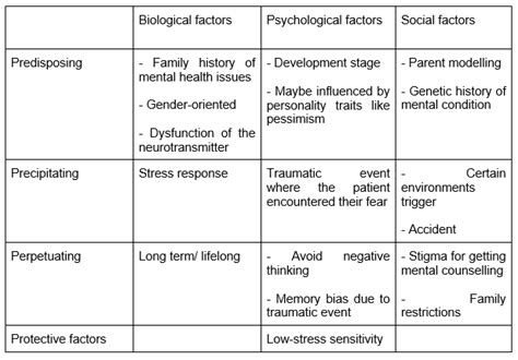 What are the Four P’s of the Biopsychosocial Model?