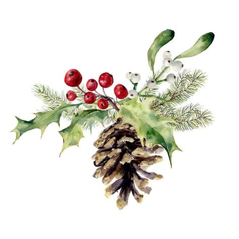 watercolor-fir-cone-christmas-decor-pine-cone-christmas-tree-branch-holly-mistletoe-whit ...