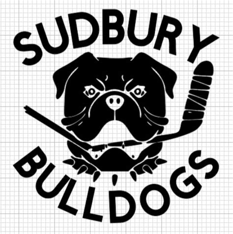 Sudbury Bulldogs Die-cut Vinyl Decal / Sticker - Etsy