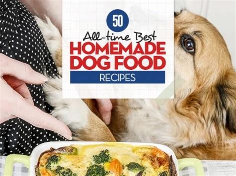 The Best Weight Loss Dog Food for Overweight Dogs in 2020