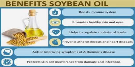 Soybean Oil - Assignment Point