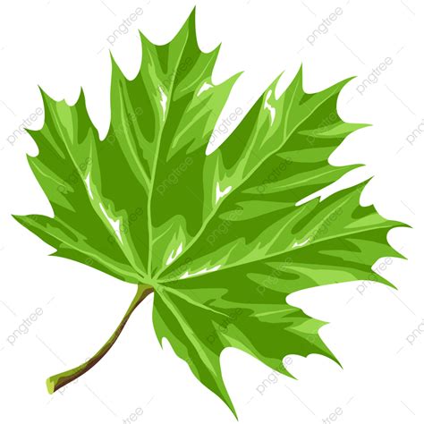 Green Leaf Illustration Vector Hd Images, Illustration Of Stylized ...