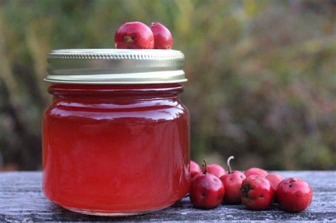 Pin on canning/dehydrating /homemade