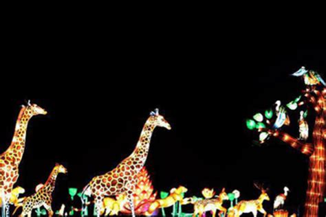 Lanterns, Longleat & Bristol Market FEST 25 BWPA | Ashley & Newey