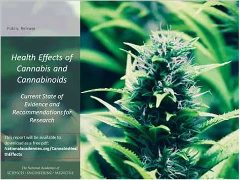 The Health Effects of Cannabis and Cannabinoids The Current State of Evidence and ...