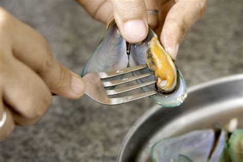 How to Eat Mussels: 9 Steps (with Pictures) - wikiHow