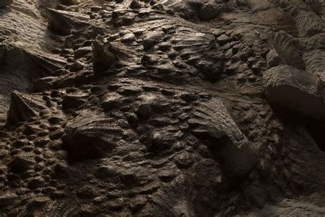 Amazing 'Ghostbusters' dinosaur fossil, Zuul, goes on display