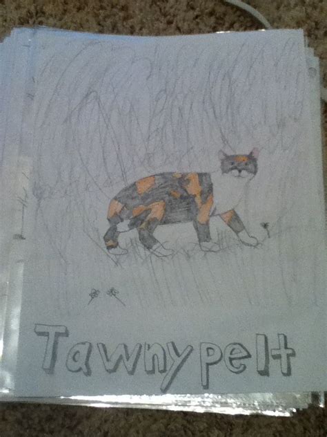 Tawnypelt | Art, Book cover, Drawings