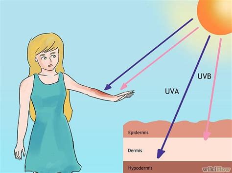 How Does the Sun Damage Skin? | Southeast Radiation Oncology Group