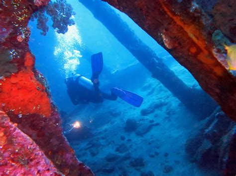 Bali Diving: a first-timer guide - World Adventure Divers